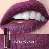 Focallure Matte Liquid Lipstick